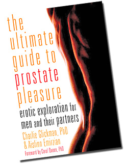 Prostate Pleasure Book